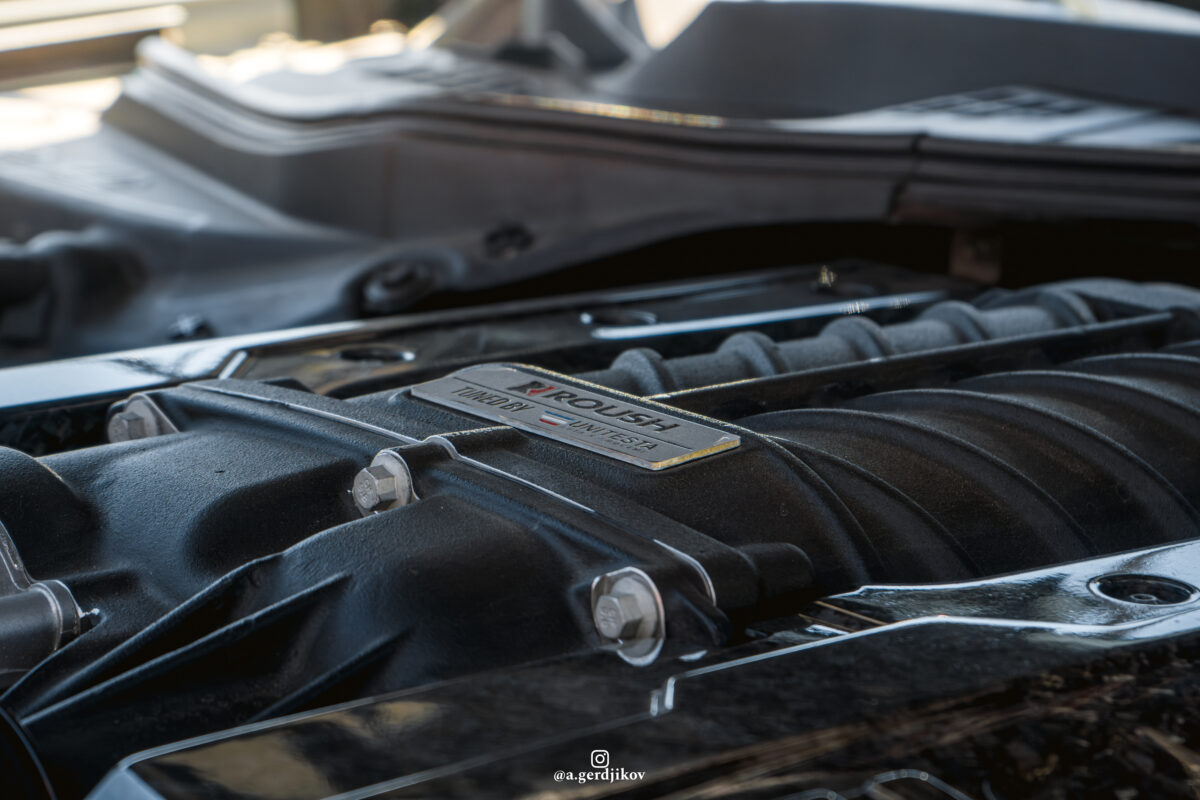 DSC02969-Enhanced-NR